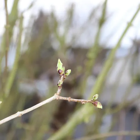 Gemuetlich Schnuckelige Mit -sommer- Pool Lägenhet